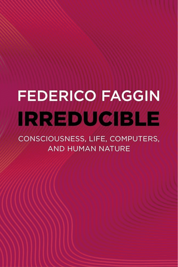 Fedderico Faggin - Irreducible